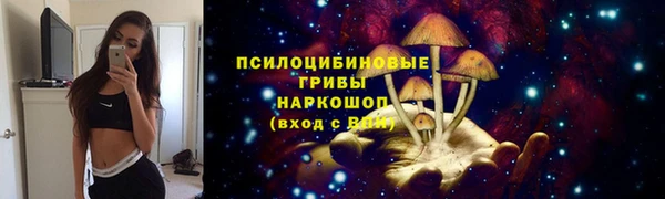 амфетамин Богданович