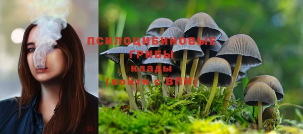 крисы Беломорск